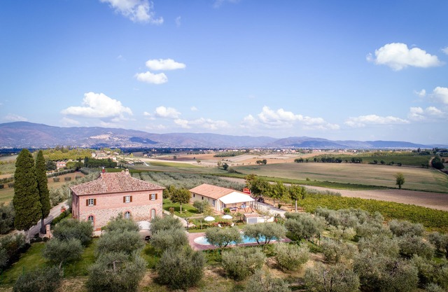 Farmhouse among olives trees and sunflowers- private pool and garden