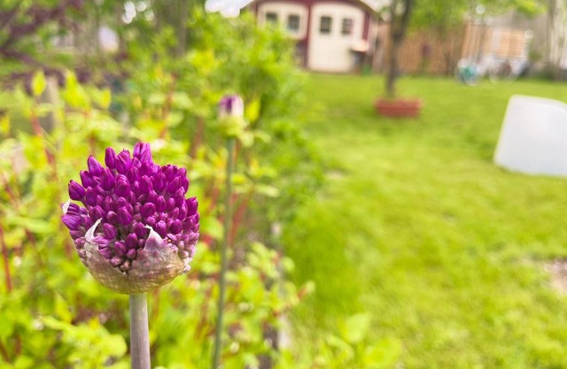 Ferienhaus Herger