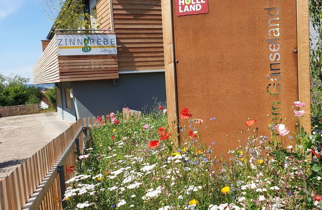 Ferienwohnung Gänsenest