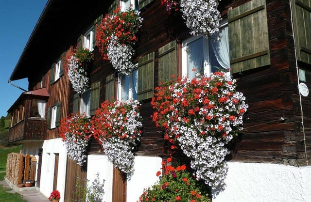 Ferienwohnung Hornblick - Gästehaus Schaub