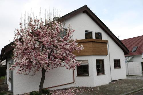 Ferienwohnung In Bempflingen
