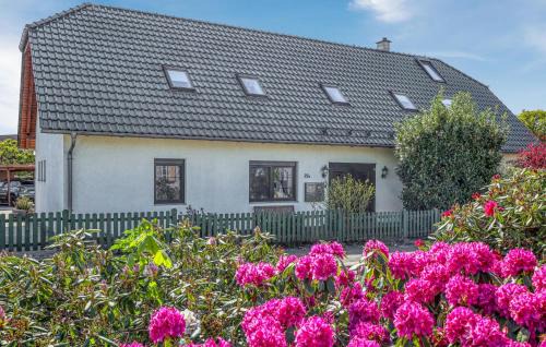 Ferienwohnung Ueckermünde