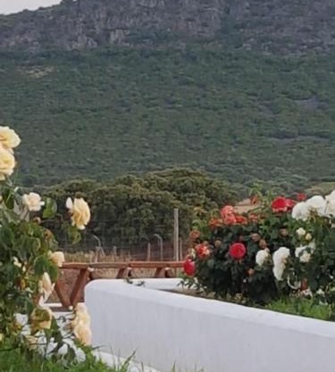 Finca La Rinconada