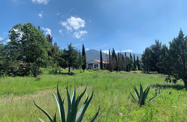 FINCA REAL SAN JOSE