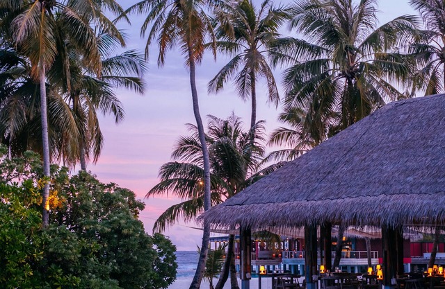 Finolhu, A Seaside Collection Resort, a Member of Design Hotels