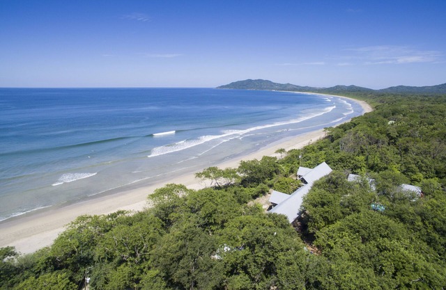 Five Bungalows, Swimming Pool and Amenities Amidst a Beachfront Forest.