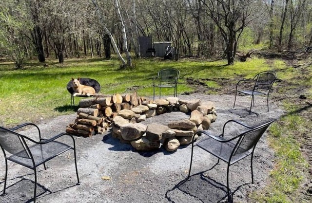 Forest Side Solar Powered Cabin with Nature Trails