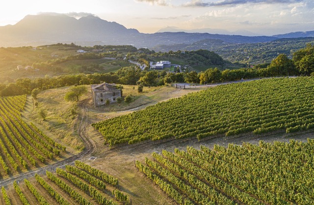 Foresteria Relais/Country House surrounded by vineyards