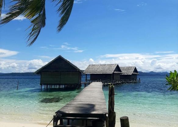 Frances Homestay - Raja Ampat