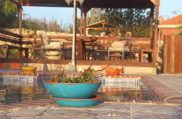 Fuego Mio Bed & Breakfast