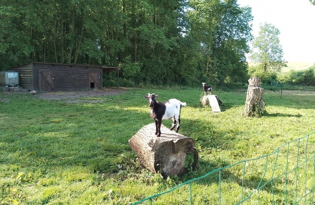 Gîte à la Campagne Avec Étang de Pêche 2/4 Personnes