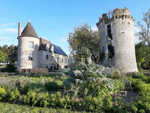 Gîte dans château du XVè avec piscine privée, wifi et animaux admis - FR-1-381-410