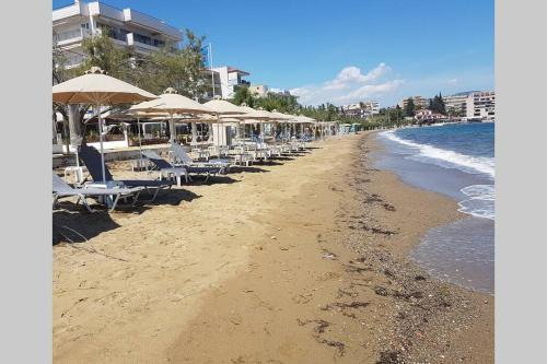 GARDEN LEFKANTI sea rooms & aparts