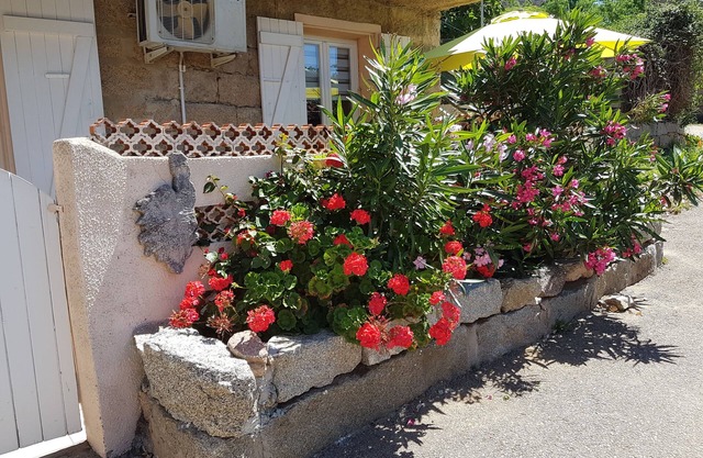 Garden level in typical Corsican house Monacia d'Aullène