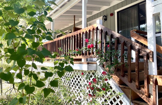 Garden Suite - Sierra Mountain Lodge