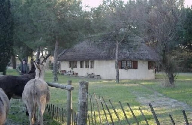 Gardian Aigues Mortes cabin-style house rental