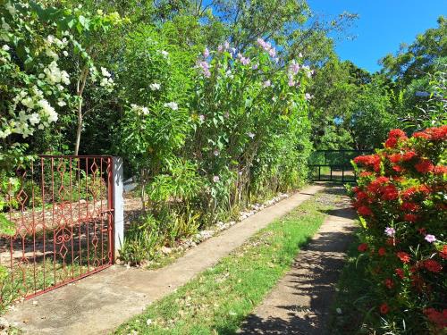 Genevieve Guest House