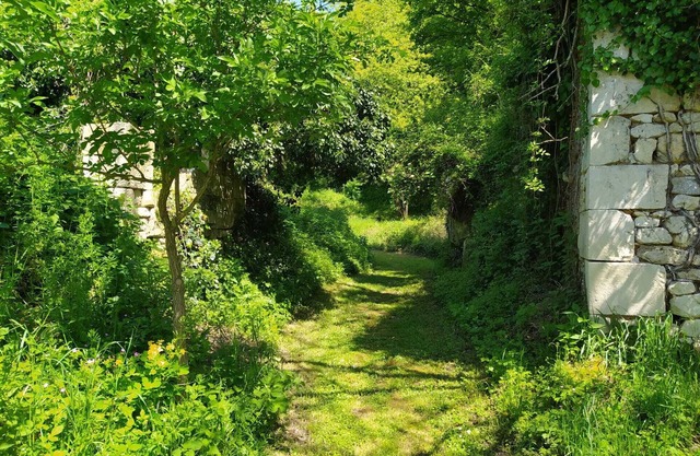 Gite "Le petit coteau