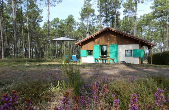 Gite Luxey, 2 bedrooms, 4 persons