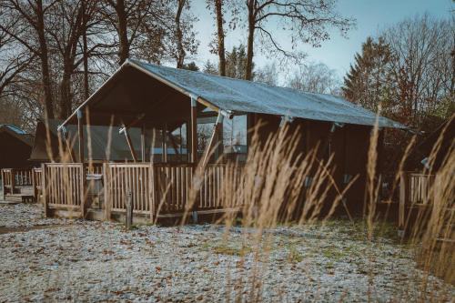 Glamping De Boshoek