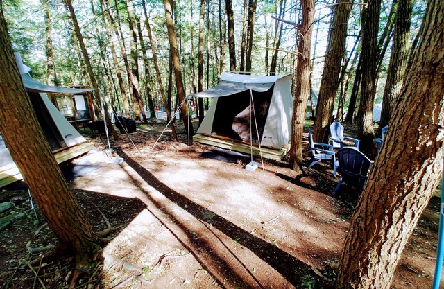 Glamping, family fun, pet friendly