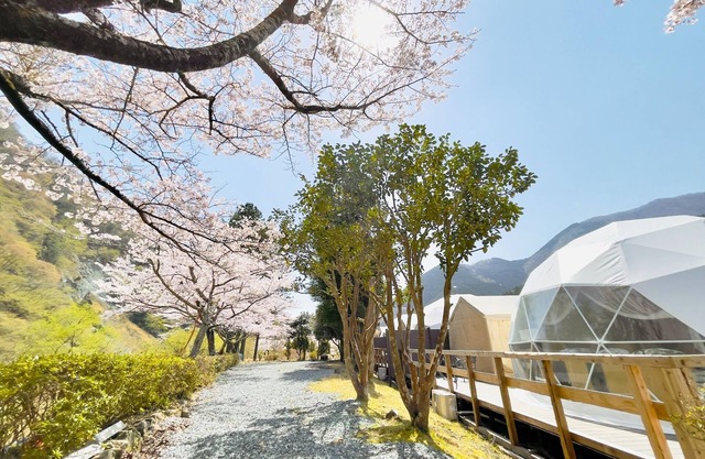 Glamping RiversidePets allowed with toilet and openair bath Room only plan/Ashigarakamigun Kanagawa