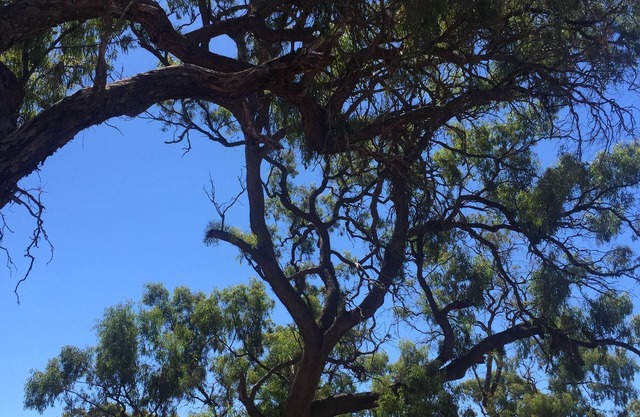 Goldfields homestead retreat