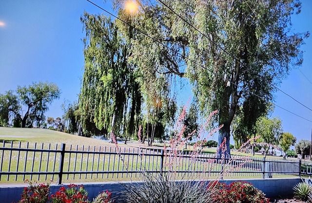 Golf Course Home in Sun City, 11 minutes from State Farm Stadium, pet friendly