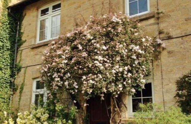 Gorgeous 2 Bedroom Country Cottage With Lovely Garden Views & Great Location