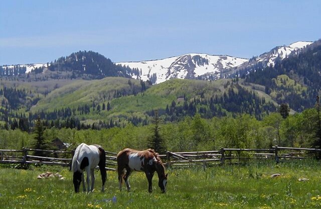 Gorgeous Mountain View from This Remodeled Red Pine Condo