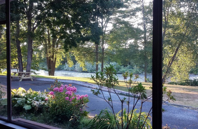Gorgeous Views of Rogue River from house, patio and lawn