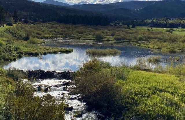 Gorgeous Wetlands and Breathtaking Views!