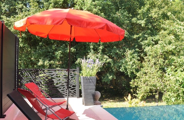 Grasse, quiet, garden, swimming pool