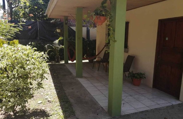GREEN PARAKEET LITTLE HOUSE