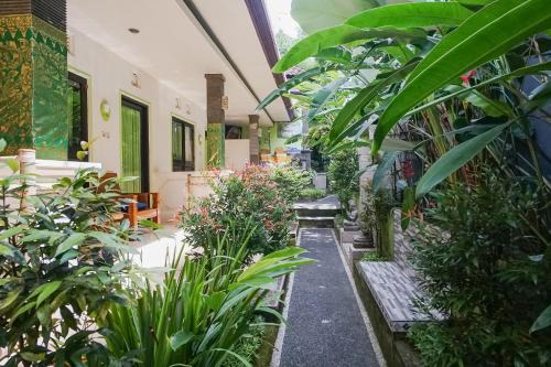Ubud Valley Atmosphere 