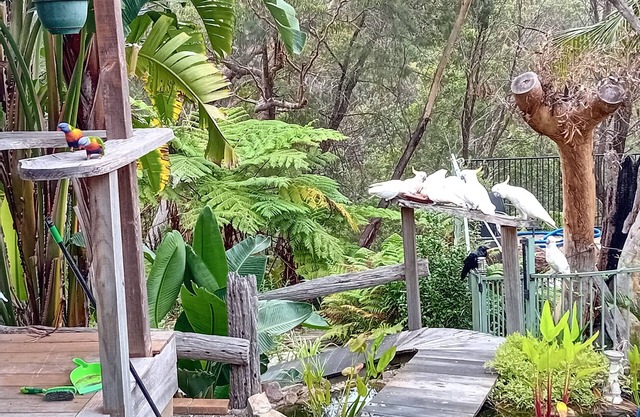 Grey Gum Cedar HousenEdge of National ParknDeck BBQ Pool BarnClose to station