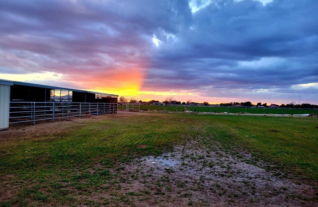 Guest House with horse privilege's, in the country & beautiful neighborhood.
