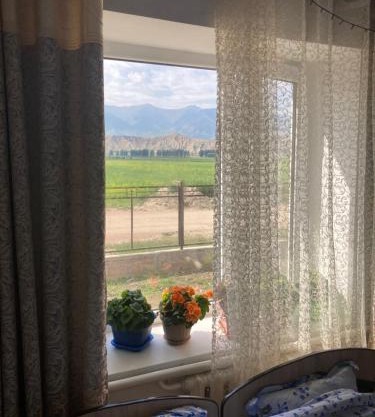 Gulnara guesthouse