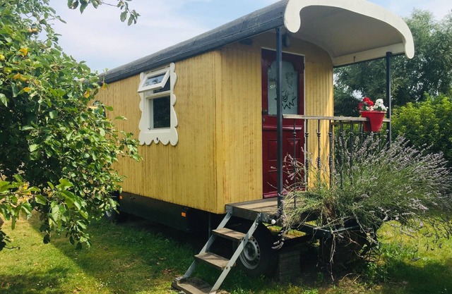 Gypsy Caravan in Weideblick with Farm Animals