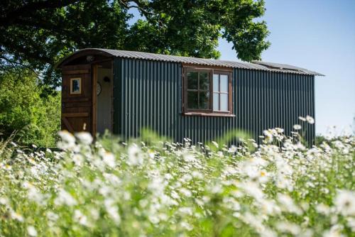 Harbour Ranch Hut - Rustic Countryside Escape