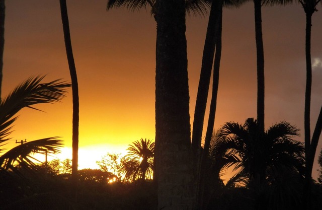 Hawaiian Style Ohana Living On The Friendly Isle Of Molokai.