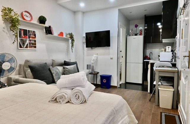 HERMOSO APARTAMENTO TIPO ESTUDIO EN MADRID SFL5