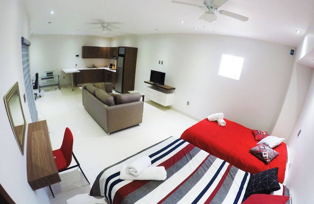 Hermoso Lof't 4 Familiar, Centro DE LA Ciudad, AC, Wifi, Garage
