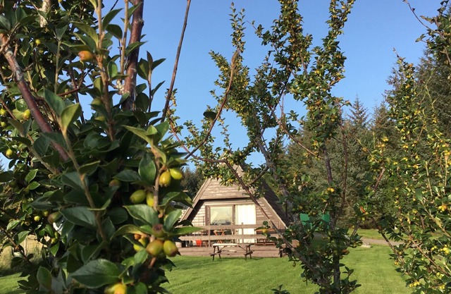 High Quality Scottish Highland Lodge in Glenlivet perfectly located and equipped