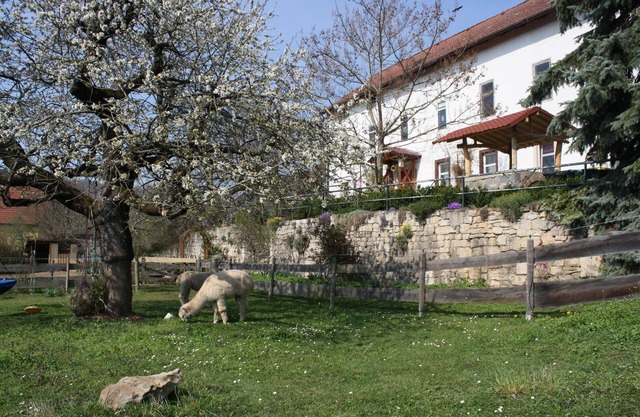 Holiday apartment Camburg for 1 - 4 persons with 1 bedroom - Holiday house