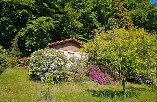 Holiday Home by the Forest with South-Facing View