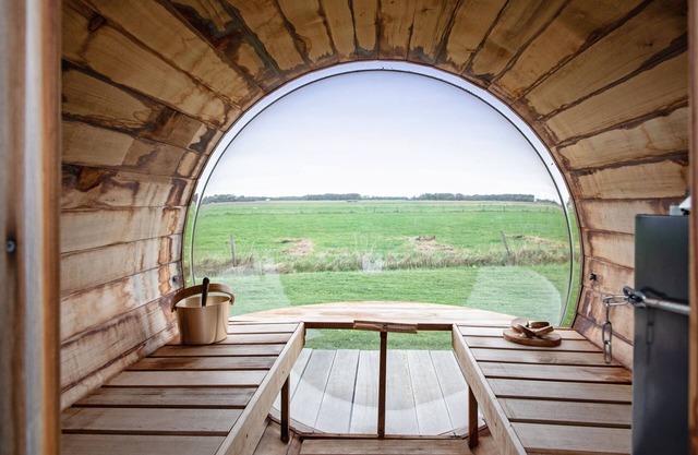 Holiday home near dunes with wellness garden