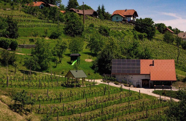 Holiday home with sauna and wine cellar