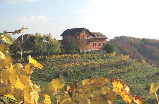 Holiday house Ptuj for 1 - 12 persons with 4 bedrooms - Holiday house
