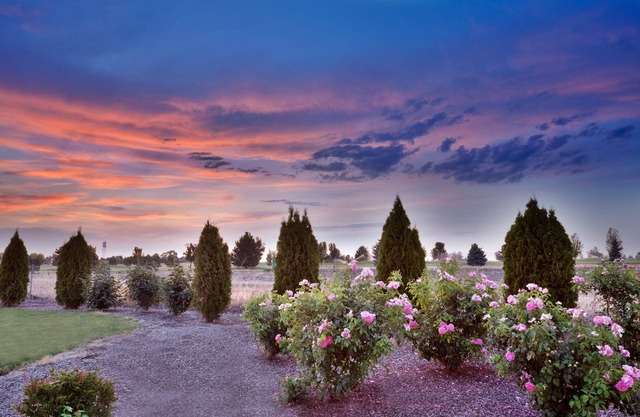 Holiday Inn Express & Suites Nampa - Idaho Center by IHG